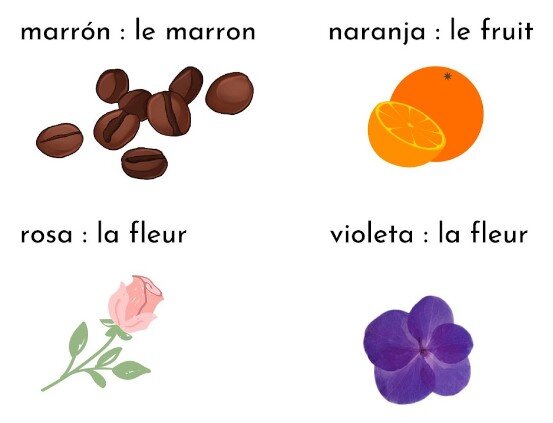 Un récapitulatif illustré des couleurs liées à des fleurs ou de la nourriture en espagnol.